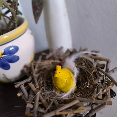 شقة Spitzmandl إنسبروك