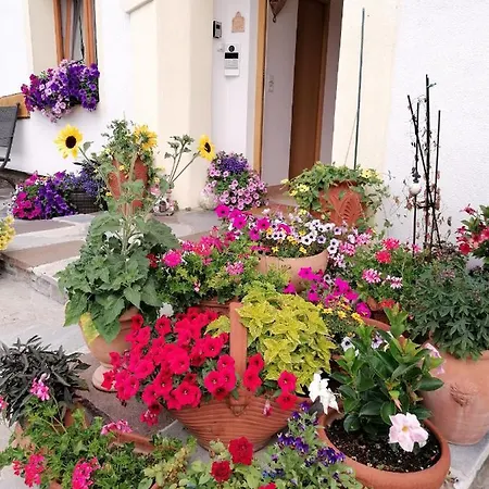 Spitzmandl Innsbruck