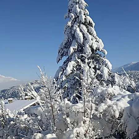 Appartement Spitzmandl