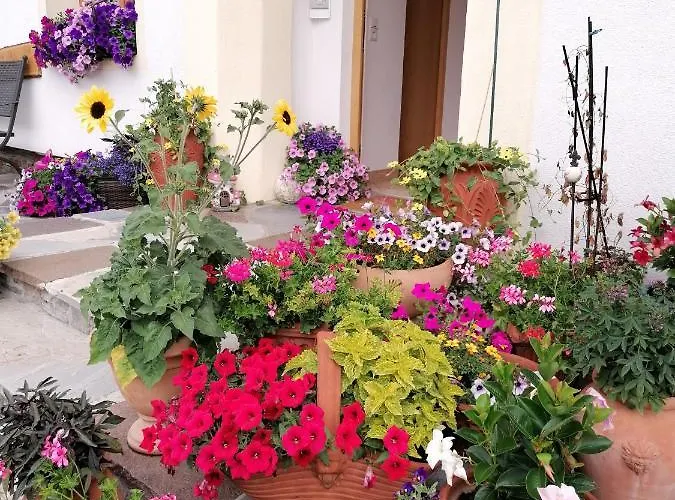 Spitzmandl Інсбрук